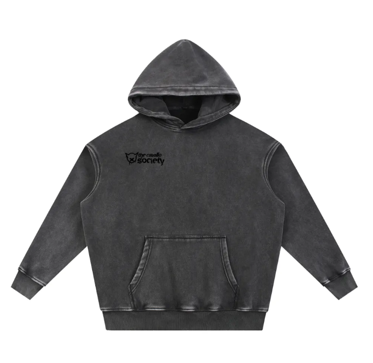 SNOW WASHED - RIDE WITH RESPECT FLEECE HOODIE