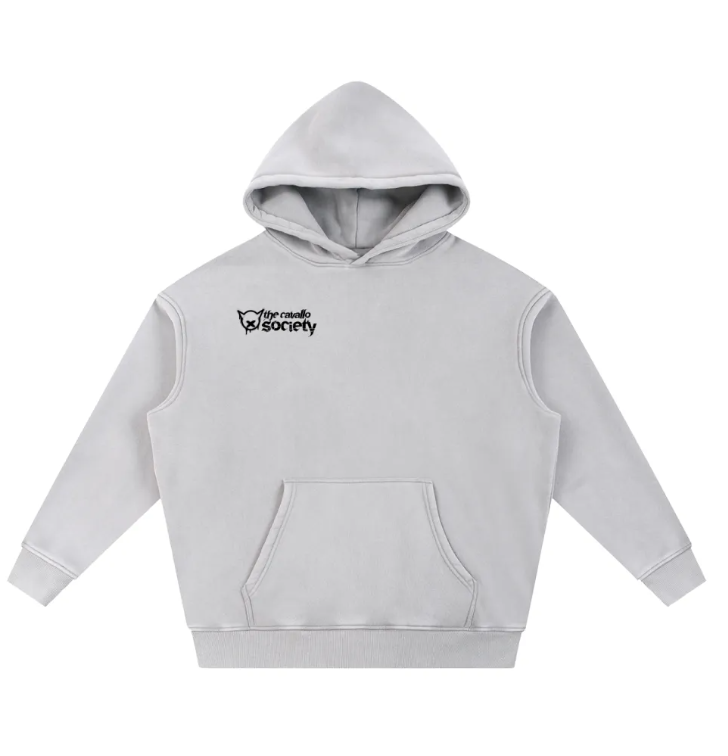 SNOW WASHED - RIDE WITH RESPECT FLEECE HOODIE