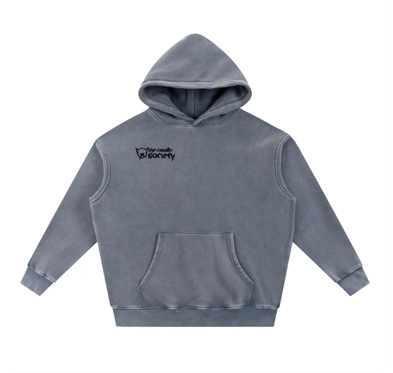 SNOW WASHED - RIDE WITH RESPECT FLEECE HOODIE