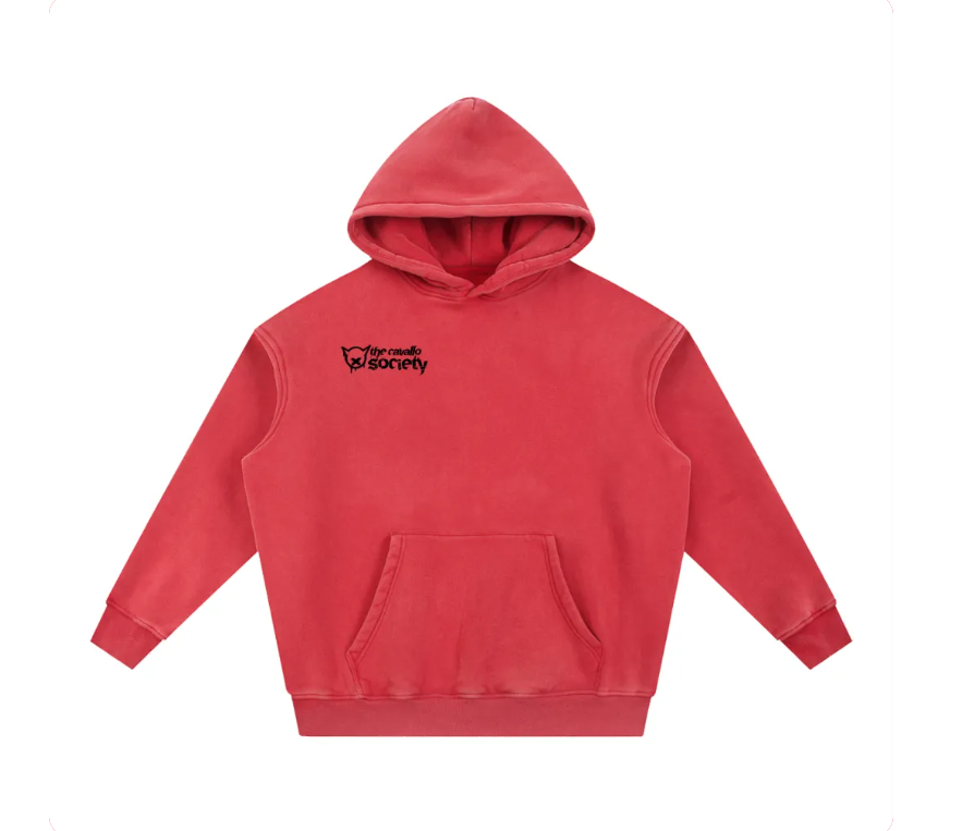 SNOW WASHED - RIDE WITH RESPECT FLEECE HOODIE